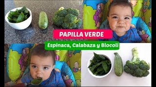 PAPILLA DE ESPINACA CALABAZA Y BROCOLI para bebes  Facil y Saludable [upl. by Geraldine]