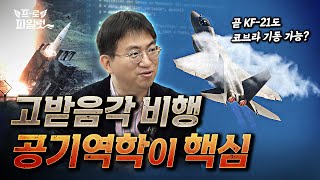 국과연 출신이 밝힌다 고받음각 비행하려면 OO해석이 필수 전산유체역학 유동 연구로 F22 랩터 잡는다 I 인하대 박진석 교수 [upl. by Okoyk]