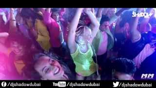 PARTY ALL NIGHT DJ SHADOW DUBAI REMIX [upl. by Ilojne894]