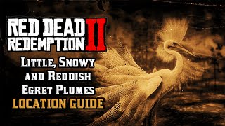 Little Snowy and Reddish Egret Plumes  Location Guide  Red Dead Redemption 2 [upl. by Ahseinat241]