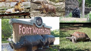 Ranked Best Zoo in Texas amp Among Top Zoos in North America  Fort Worth Zoo Tour amp Review [upl. by Mcdade436]