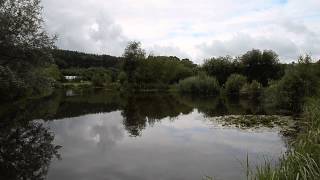 LAKESIDE EXEBRIDGE BAMPTON DEVON [upl. by Froma]