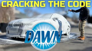 Is DAWN Dish Soap the HOLY GRAIL of Detailing products [upl. by Euqinomod]