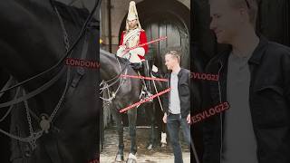 ROYAL HORSE kingsguard horse shorts youtubeshorts cool satisfying chilling trending [upl. by Levan]