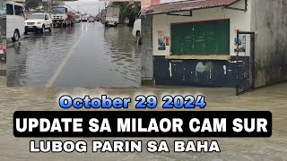 BICOL TO MANILA POSIBLE NA BANG DAANAN PAKATAPOS LUMOBOG ANG CAM SUR SA BAHA DALA NG KRISTINE [upl. by Hgieliak]