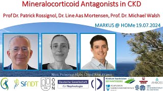 Mineralocorticoid Antagonists in CKD  Prof P Rossignol Dr L A Mortensen Prof M Walsh [upl. by Rekyr774]