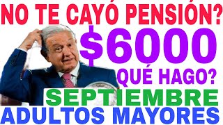 NO ME CAYÓ PENSIÓN EN SEPTIEMBRE QUÉ DEBO HACER ADULTOS MAYORES Y DISCAPACIDAD [upl. by Eemak350]