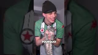 Un chat dans mon appart  twitch videoclips videohighlights [upl. by Hogan]