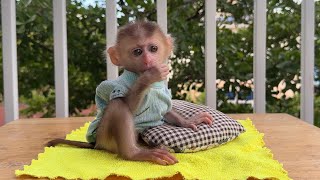 Toddler sitting with hands clasped in front of the house [upl. by Aicenod630]