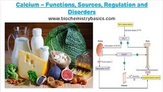 Calcium  Functions Sources Regulation and Disorders  Calcium Metabolism  Calcium [upl. by Moina648]