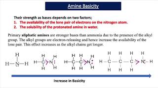 The Basicity of Amines A2 Chemistry [upl. by Gerlac747]