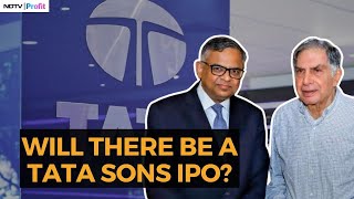 Decoding The Mystery Over Tata Sons IPO As Doubts Surface Over The Company Listing [upl. by Ayotna401]