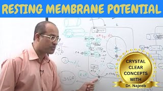 Resting Membrane Potential  Neurology  Dr Najeeb [upl. by Ydnak]