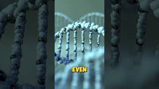 CRISPR gene editing gene crispr facts [upl. by Ellatnahc264]