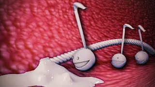 This is my Otamatone [upl. by Ebaj]