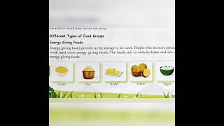 Type of Nutrients 🥗 Energy giving food ⛹️ Body building food 🏋️ Protective food 🤸 [upl. by Yelsiap]