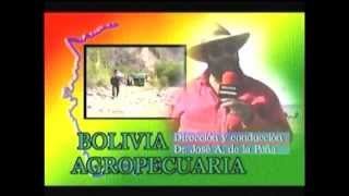 Presentacion Bolivia Agropecuaria [upl. by Mariya]