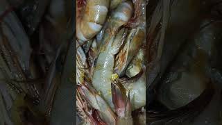 Cook Shrimp recipe food shorts short fyp shortsviral reels [upl. by Fitts393]