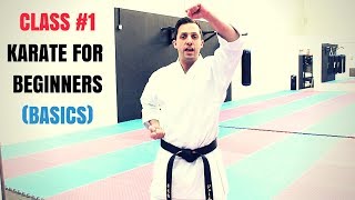 Martial Arts for Beginners – Lesson 1  Basic Karate Cobra Kai Techniques [upl. by Ydac]