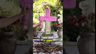 Girl cleans her family grave🤯 [upl. by Cristobal24]