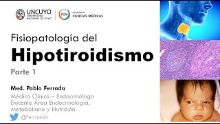 Fisiopatología del hipotiroidismo Dr Ferrada Parte 1 [upl. by Turtle508]