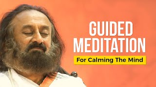 Guided Meditation For Calming The Mind By Gurudev Sri Sri Ravi Shankar [upl. by Els]