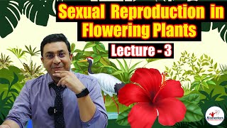 Sexual Reproduction in Flowering Plants l Lecture 3 l Biology l NEET [upl. by Varien]