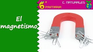 El magnetismo Naturales 6º Primaria [upl. by Nay]