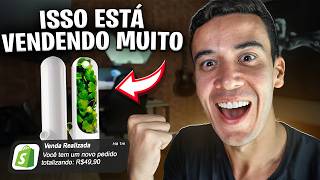 Dropshipping  TOP 7 PRODUTOS PRA VENDER EM OUTUBRO [upl. by Ahtabat]