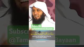 Quran Surah Shorts Voice from Heart Beautiful Quran Recitation Mansur Salimi Soulful QuranShorts [upl. by Ardin]