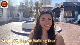 What I Learned from Taking a 4K Walking Tour of Seaport Village [upl. by Notserp]