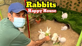 My 50th Vlog  Rabbits apny new house ma bohat khush han Rabbits are very happy in new house [upl. by Hunsinger316]