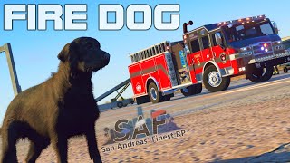 SAF 531  FIRE DOG amp The Burning Plane  GTA V RP [upl. by Parette]