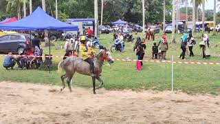 1082024OPEN LONGGOKPADI A DIVISION 2 TREK LACORBINJAIPCBKELANTANMALAYSIA [upl. by Middlesworth]