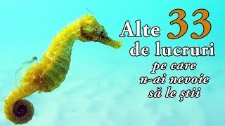 Alte 33 de lucruri pe care nai nevoie să le știi [upl. by Lillian]