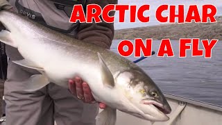 UNGAVA BAY ARCTIC CHAR ON A FLY  NUNAVIK QUEBEC [upl. by Nueovas]