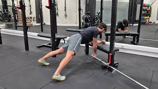 Elevated Plank Bench DB Horizontal Pull Iso  Pull [upl. by Kowal573]