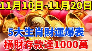 准的可怕！這5大生肖11月中旬財運爆表，要爆發了！橫財存款達1000萬！鈔票如雨！清福享不停！【禪定自在】生肖 運勢 命理 屬相 風水 [upl. by Sillyrama]