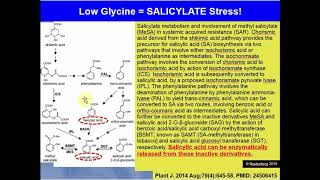 Are Salicylate Problems Really Just Oxalate Problems [upl. by Randee123]