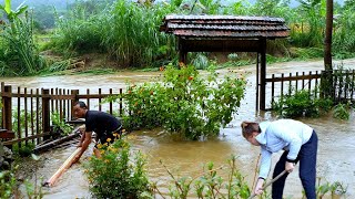 Farm flooded with water  overcoming consequences after natural disasters  Lý Mai Farmer [upl. by Myrvyn18]