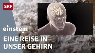 Das menschliche Bewusstsein – Eine Reise in unser Gehirn  Einstein  SRF Wissen [upl. by Bina]