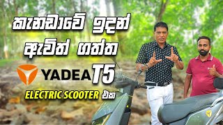 කැනඩාවේ ඉදන් ඇවිත් ගත්ත Yadea T5 electric scooter එක  Consumer review Yadea T5 2024 [upl. by Sefton245]