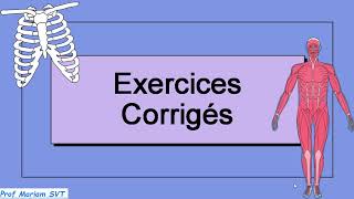 Exercices ATP amp MUSCLE Partie 7 🔥🔥 2bac SVT  2 bac PC [upl. by Eirrahs]