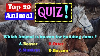 Top 20 Animal Quiz How Many Can You Get Rightquot\General Knowledge\Inresting Fact about animal\IQ [upl. by Danforth385]