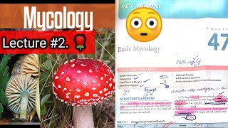 Basic mycology 🛑 LECTURE 2 Chap 47 Difference between fungi and bacteria hyphaeyt Lab diagnosis [upl. by Scevo]