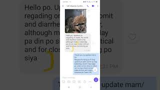 Vets in Practice Animal Hospital in Mandaluyong Review [upl. by Cryan664]