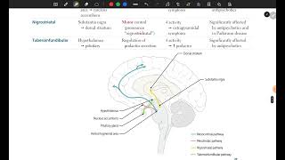 Limbic System amp Dopaminergic Pathways  USMLE First Aid Step 1 [upl. by Kered227]