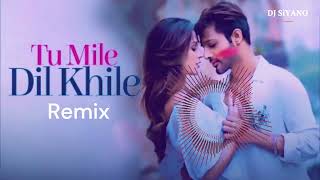 Tum Mile Dil KhileremixSiyanoRaj Barman [upl. by Orfurd]