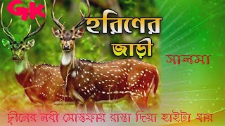 দ্বীনের নবী মোস্তফায় রাস্তা দিয়া হাইটা যায়  সালমা ইসলামী Dener nobi mostofa rashta diya haita jay [upl. by Fonzie970]