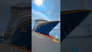 Carnival Venezia Cruise Ship Tour 🤩 [upl. by Jorin203]